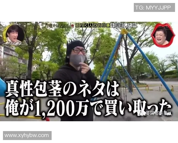 足球27号的传奇之路与背后的故事揭秘